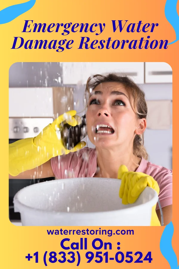 Emergency Water Damage Restoration in Richton Park, IL