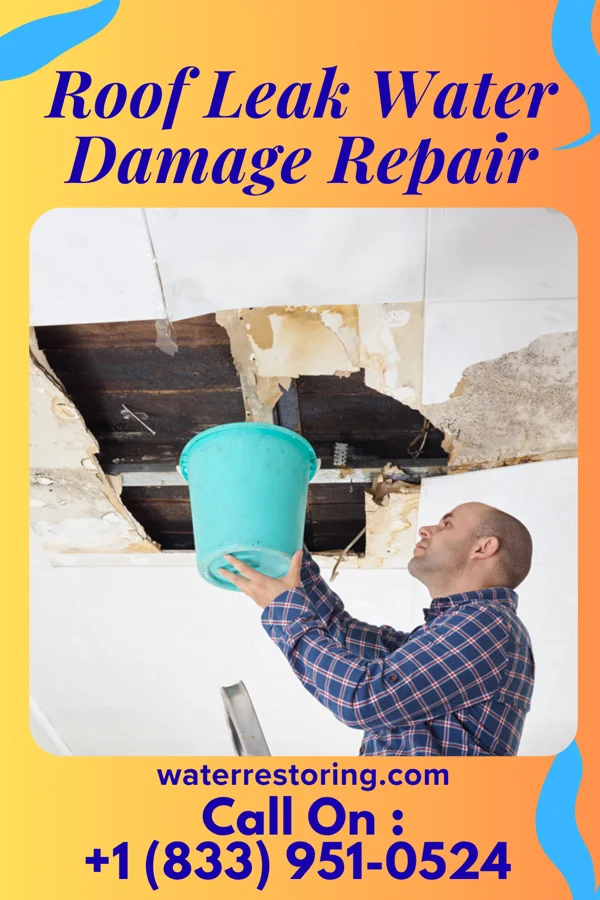Roof Leak Water Damage Repair in Richton Park, IL