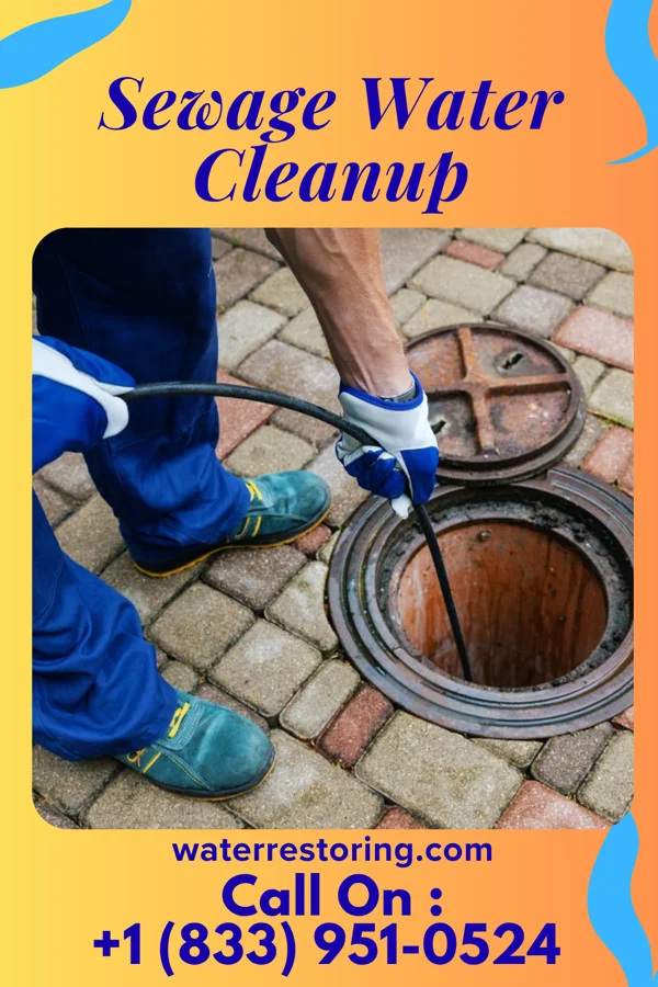 Sewage Water Cleanup in Richton Park, IL